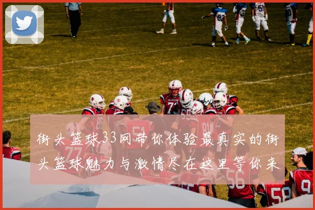 街头篮球33网带你体验最真实的街头篮球魅力与激情尽在这里等你来战