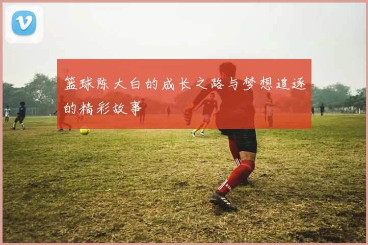 篮球陈大白的成长之路与梦想追逐的精彩故事