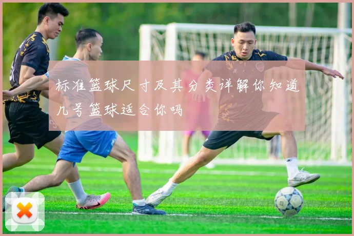 标准篮球尺寸及其分类详解你知道几号篮球适合你吗