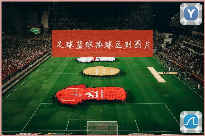 足球蓝球排球区别图片